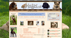 Desktop Screenshot of hafici.net